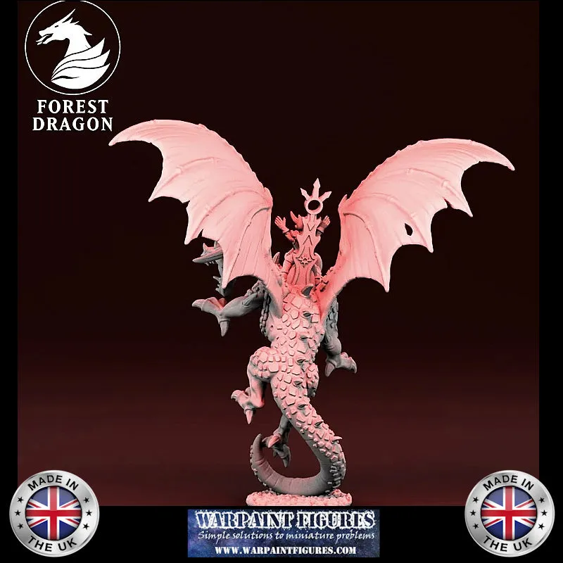 10mm Despoilers Sorceress On Two Headed Dragon