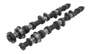 2RZ/3RZ Tacoma Cams | 180-B