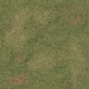 Battle Systems: Grassy Fields Gaming Mat 2'x2' v.1