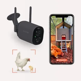 EggsteinAI CoopCam: 24/7 Flock Security