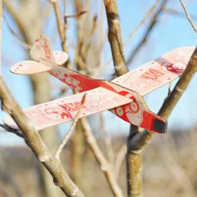 European Glider Plane Kits
