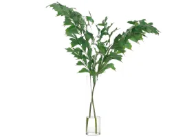 FISHTAIL PALM | 31" H