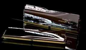 G.SKILL 48GB Kit (2x24GB) Trident Z5 ROYAL RGB Silver F5-7200J3646F24GX2-TR5S DDR5 7200MHz Memory