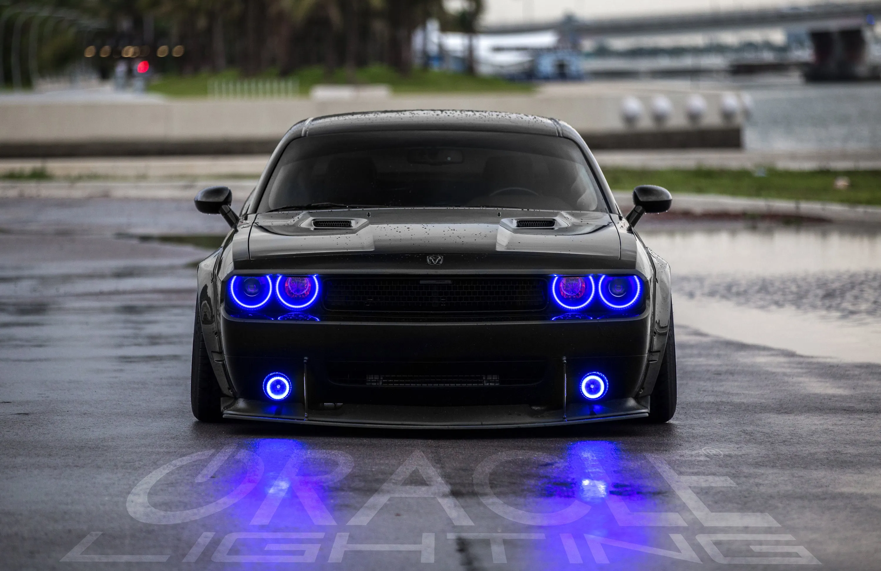 ORACLE Lighting 2008-2014 Dodge Challenger LED Fog Light Halo Kit - Standard Mount