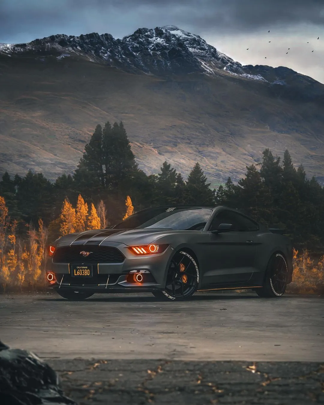 ORACLE Lighting 2015-2017 Ford Mustang V6/GT/Shelby ColorSHIFT DRL Upgrade w/Halo Kit